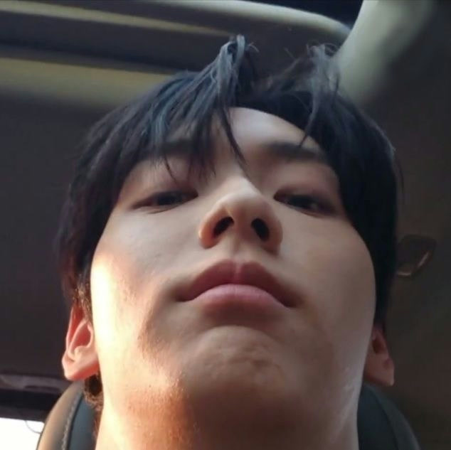 Ayel's profile avatar